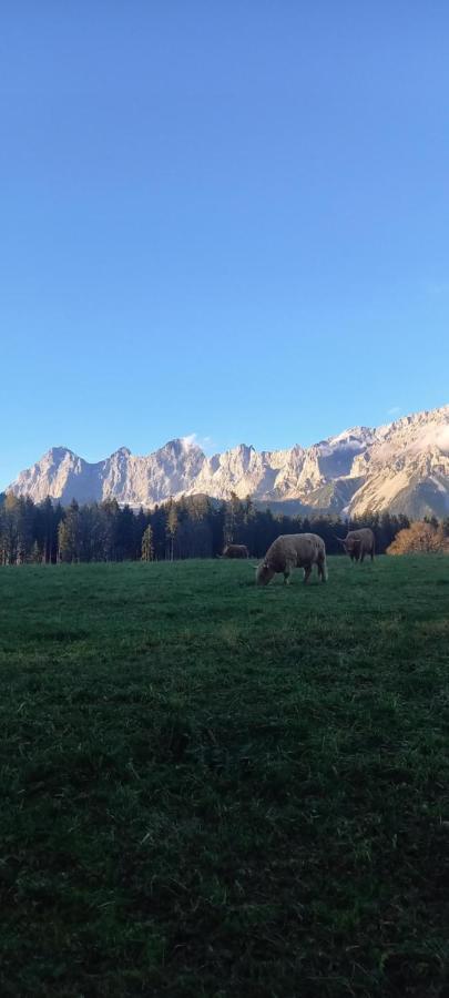 Landhaus-Koenigsberg, Vorberg 360 Ebenguetlweg Ramsau am Dachstein Exterior foto